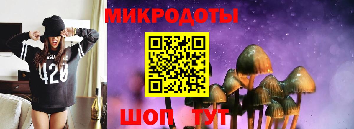 Отрадный  Псилоцибиновые грибы Magic Shrooms  Вход с VPN  Псилоцибиновые грибы мухоморы 